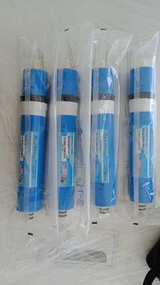 ممبرين امريكى نيوتك